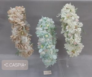 C. CASPIA