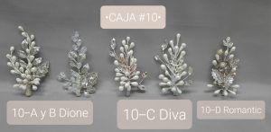CAJA #10