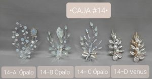 CAJA #13