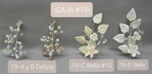 CAJA #19