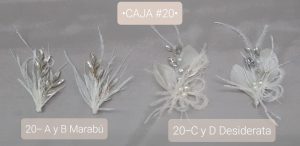 CAJA #20