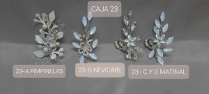 CAJA #23