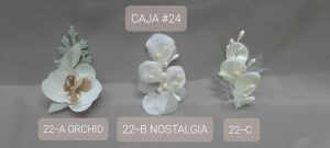 CAJA #24