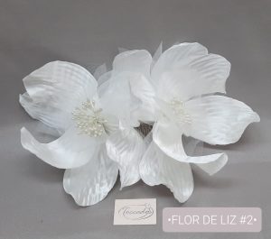 F. DE LIZ #2