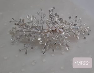 MISS - PTA.